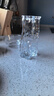 利比不規則冰川玻璃花瓶擺件客廳水養插花高級感水培ins風(fēng)高顏值花瓶 透明鐘乳 17cm 曬單實(shí)拍圖