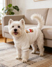 嬉皮狗（hipidog）可愛(ài)小狗狗衣服時(shí)尚小熊貼布繡絨衣泰迪博美小型幼犬秋冬寵物服裝 彌雅白 L （建議體重8-11斤） 曬單實(shí)拍圖