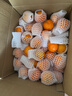 京鮮生 廣西砂糖橘 凈重8斤 單果45mm+ 水果年貨禮盒 源頭直發(fā)包郵 曬單實(shí)拍圖