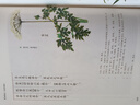 【全彩刷邊】楚辭譯注（彩圖珍藏本） 布面精裝 隨書(shū)附贈精美藏書(shū)票 董楚平 譯注  黃靈庚、戴建業(yè)、傅杰推薦 上海古籍出版社 曬單實(shí)拍圖