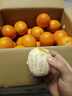 京鮮生 江西贛南臍橙橙子 凈重8斤 單果150g+ 水果年貨禮盒 源頭直發(fā) 曬單實(shí)拍圖