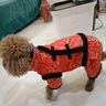 嬉皮狗（hipidog）小狗狗衣服黑白邊唐裝博美約克夏小型犬秋冬季厚款保暖寵物四腳衣 娜塔紅(黑邊) L （建議體重8-11斤） 曬單實(shí)拍圖