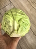 圓白菜約1.5kg（綠甘藍） 曬單實(shí)拍圖