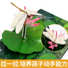 揭秘立體翻翻書(shū)昆蟲(chóng)立體書(shū) 兒童3D立體書(shū)科普百科繪本故事書(shū) 動(dòng)手動(dòng)腦益智玩具 少兒百科全書(shū)漫畫(huà)版科普本故事書(shū) 揭秘神秘昆蟲(chóng)王國 曬單實(shí)拍圖