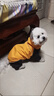 優(yōu)觀(guān)新款狗狗雨衣小中大型犬四腳全包連帽包尾巴雨披泰迪比熊防水衣服 黃色-公狗[TPU防水覆覆膜] 16碼(適合10-12斤) 曬單實(shí)拍圖