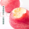 產(chǎn)地直采 甘肅秦安霜降富士蘋(píng)果4粒 約900g 曬單實(shí)拍圖