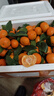 正宗廣東四會(huì )砂糖橘沙糖桔純甜無(wú)渣新鮮水果當季時(shí)令非廣西果順豐 9斤精品裝【中大果】推薦 曬單實(shí)拍圖