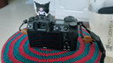 尼康（Nikon）【國行帶票】Z6II/Z62/Z6二代全畫(huà)幅無(wú)反微單相機4K高清視頻微單相機 Z6II 單機身（不含鏡頭）可優(yōu)惠 標配【送腕帶+64卡+膜+清潔套+灃標電池】可優(yōu)惠 曬單實(shí)拍圖