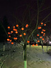 夢(mèng)多福太陽(yáng)能彩燈氛圍燈串紅燈籠家用戶(hù)外庭院柿柿如意春節過(guò)年裝飾掛件 柿柿如意-太陽(yáng)能10米36燈 高續航長(cháng)壽命+遠程遙控+陰雨天不斷電 曬單實(shí)拍圖