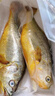 GUO LIAN國聯(lián)三去黃花魚(yú)2條共凈重2斤寧德東海大黃魚(yú)去鱗去鰓去內臟年貨節 曬單實(shí)拍圖