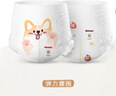 好奇（Huggies）軟萌星人柯基褲拉拉褲XL28片(12-17kg)尿不濕【軟糯貼貼】 曬單實(shí)拍圖