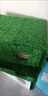 仿真草坪綠地隔音陽(yáng)光房隔熱陽(yáng)臺布置院子室內幼兒園假草坪水果墊 2厘米加厚春草【1米寬*6長(cháng)】 曬單實(shí)拍圖