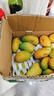 南步海南小臺農芒果 當季小臺芒雞蛋芒非金煌甜心芒新鮮熱帶特產(chǎn)水果 凈重2.5斤 大果【單果110g+】需催熟 曬單實(shí)拍圖