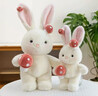 ZNMW可愛(ài)小白兔子公仔蘑菇兔毛絨玩具抱睡覺(jué)玩偶布娃娃女孩子生日禮物 白色 40cm 曬單實(shí)拍圖
