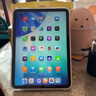 Apple/蘋(píng)果 iPad11英寸 A16芯片2025年款 平板電腦 (256GB WLAN版/學(xué)習辦公娛樂(lè ))銀色 曬單實(shí)拍圖