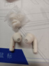 漫步者（EDIFIER） Lolli Pro5 真無(wú)線(xiàn)主動(dòng)降噪藍牙耳機入耳式 AI翻譯運動(dòng)跑步音樂(lè )游戲電競適配蘋(píng)果華為安卓 奶釉白【獨家配色】+柯基耳機套 曬單實(shí)拍圖