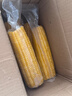 隆福沃原內蒙古烏蘭布和沙漠黃糯玉米香甜軟糯真空裝甜糯苞米健身早餐 沙漠玉米1.2kg(5穗) 曬單實(shí)拍圖