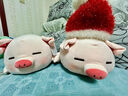 名創(chuàng  )優(yōu)品（MINISO）小豬B-BO彈力超柔趴姿毛絨公仔玩偶抱枕靠枕玩具送女友生日禮物女 曬單實(shí)拍圖