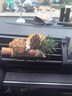齊選車(chē)載香薰創(chuàng  )意植物干花車(chē)內飾品擺件汽車(chē)空調出風(fēng)口裝飾高級感女生 【富桂+橙花+松山】3個(gè)裝 曬單實(shí)拍圖
