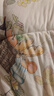 莫爾兔嬰兒被子兒童豆豆被秋冬加厚寶寶豆豆毯a類(lèi)幼兒園午睡被四季通用 綠色查爾莊園【加厚冬被一體款】 120*150cm 7A抑菌防螨可機洗 曬單實(shí)拍圖