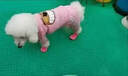 曇蓓漫狗狗鞋子小型犬不掉腳套秋冬季寵物鞋博美比熊外出加厚保暖雪地靴 粉色加厚款【2號 鞋子內徑3.8cm*2.8cm】 曬單實(shí)拍圖