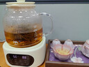 JMEY集覓H7全玻璃養生壺智能恒溫壺煮茶壺燒水壺花茶壺調奶器 智能養生壺H7茶漏款- 1.2L 全玻璃 曬單實(shí)拍圖
