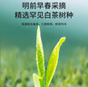 一杯香茶葉綠茶正宗安吉明前白茶200g2025新茶過(guò)年貨節禮盒裝自己喝自飲 曬單實(shí)拍圖