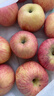 洛川蘋(píng)果（luochuanapple）25年新果正宗延安紅富士蘋(píng)果當季時(shí)令水果新鮮脆甜整箱批發(fā) 凈重8.5斤特大果85-90mm（14-16顆） 曬單實(shí)拍圖