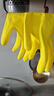 3M橡膠手套 1雙裝中號薄巧型防水防滑家務(wù)清潔手套 廚房洗衣 檸檬黃 曬單實(shí)拍圖