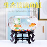 智宙魚(yú)缸生態(tài)缸中小圓形玻璃魚(yú)缸加厚斗魚(yú)缸金魚(yú)缸懶人客廳桌面魚(yú)缸 30*22*14cm玻璃魚(yú)缸 曬單實(shí)拍圖