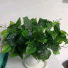 悠梵萌仿真綠植綠蘿葉客廳盆栽室內盆景人造假植物裝飾桌面六邊形盆 曬單實(shí)拍圖