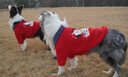 品云美寵大型犬狗衣服秋冬保暖金毛薩摩耶拉布拉多舒適透氣寵物衣服 中式大狗背心可牽引-紅 3XL(體重20-30斤) 曬單實(shí)拍圖