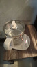 申花養生壺家用1.8L多功能全自動(dòng)燒水壺煮茶壺辦公室中藥玻璃電熱水壺 1.8L 申花多功能養生壺+304濾網(wǎng) 曬單實(shí)拍圖