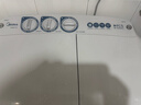 美的（Midea）雙桶洗衣機8kg大容量家用品質(zhì)雙電機凈洗科技同洗同脫二級能效 MP8DS136 曬單實(shí)拍圖