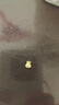 菜百首飾 黃金金種子 足金Au9999小金豆 單顆 HD 小福袋單顆（不支持7天無(wú)理由退換貨） 1g（不支持七天無(wú)理由退換貨） 曬單實(shí)拍圖