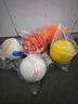 哇米約克夏專(zhuān)用玩具套裝耐咬發(fā)聲球寵物狗磨牙玩具小型犬幼犬成犬解悶 約克夏玩具5件套【橄欖球+網(wǎng)球+排球+棒球+籃球 曬單實(shí)拍圖
