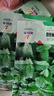 食用薄荷種子四季可播香檸檬薄荷多年生陽(yáng)臺盆栽驅蚊種子播種園藝 薄荷種子 3包【900?！?曬單實(shí)拍圖