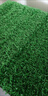 仿真草坪綠地隔音陽(yáng)光房隔熱陽(yáng)臺布置院子室內幼兒園假草坪水果墊 2厘米加厚春草【1米寬*6長(cháng)】 曬單實(shí)拍圖