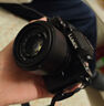 松下（Panasonic）Lumix G100D M43畫(huà)幅相機 M43卡口 微單相機 無(wú)反數碼相機 G100D單機+【25mmF1.7】單鏡頭定焦 曬單實(shí)拍圖