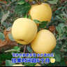 【黃金奶油富士】脆甜蘋(píng)果水果新鮮黃色奶油富士蘋(píng)果整箱 整箱5斤【70-75mm】 曬單實(shí)拍圖