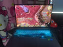 機械革命極光X 2025旗艦5060游戲本Pro版14代酷睿i7HX 吃雞學(xué)生電競設計筆記本電腦 熱銷(xiāo)旗艦14代i7HX/16G/1T/滿(mǎn)血5060 2.5K 100%sRGB 高刷超跑屏 曬單實(shí)拍圖