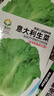 播種心情家庭種植蔬菜種子大全四季播種陽(yáng)臺盆栽農家庭院小菜園有機香菜菠 意大利生菜種子2包 曬單實(shí)拍圖