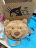 Jellycat巴塞羅熊挎包毛絨玩具兒童包包玩偶公仔2025新品生日情人節禮物 棕色 One Size 曬單實(shí)拍圖
