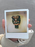 寶麗來(lái)（Polaroid）i-Type型拍立得相機相紙 復古膠片【限I-2&Now&Now+&Lab可用】 25年10-11月i-Type白框雙包裝(16張) 曬單實(shí)拍圖