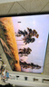 創(chuàng  )維壁紙電視85A7H 國家補貼 26年新品藝術(shù)電視A7F升級款 MiniLED 超薄無(wú)縫貼墻 85吋電視【免費安裝】 85英寸 曬單實(shí)拍圖