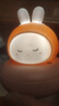 閃酷貓萌寵充電觸摸小夜燈睡眠夜用臺燈臥室床頭燈寶寶伴睡可愛(ài)萌 【美美兔+數據線(xiàn)】三擋亮度調節 【聲控充電款】三擋亮度+定時(shí) 曬單實(shí)拍圖