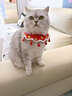 OSKV貓咪圍脖衣服新年圍巾項圈圍兜口水巾狗狗過(guò)年裝扮小配飾新款 全福-針織圍脖【高品質(zhì)】 均碼【中間25厘米，綁帶各20厘米】 曬單實(shí)拍圖