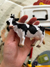 COLLECT英國CollectA我你他仿真動(dòng)物模型玩具農場(chǎng)田園合集牲畜認知 88481母奶牛 曬單實(shí)拍圖