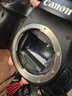 佳能/Canon 5D3 5D4 5D2 6D 6D2 7D2 5DSR 全畫(huà)幅二手單反數碼相機 佳能6D2+24-70mm F/4 IS套機 9成新 曬單實(shí)拍圖