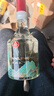 五糧液仙林生態(tài) 江山禮 歐根紗 52度500ml 雙瓶裝 年貨送禮 曬單實(shí)拍圖